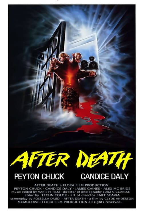 After Death - Oltre la morte (1990)