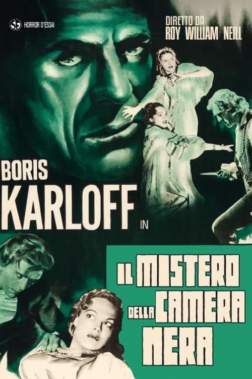 Il mistero della camera nera (1935)