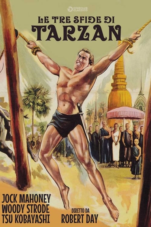Le tre sfide di Tarzan (1963)