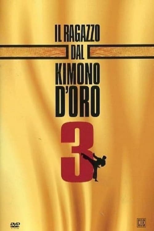 Il ragazzo dal kimono d'oro 3 (1991)
