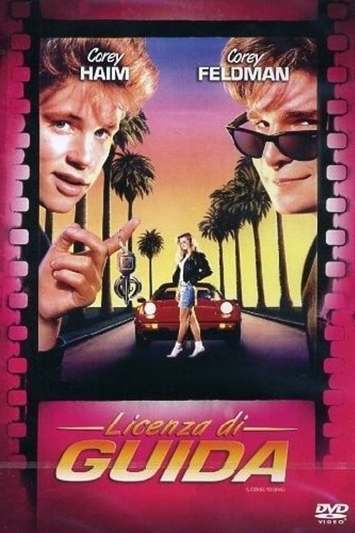 Licenza di guida (1988)
