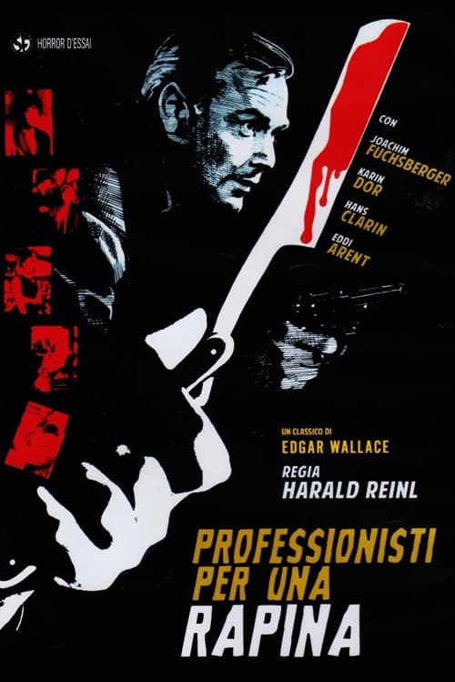 Professionisti per una rapina (1964)