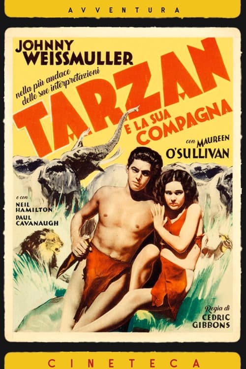 Tarzan e la compagna (1934)