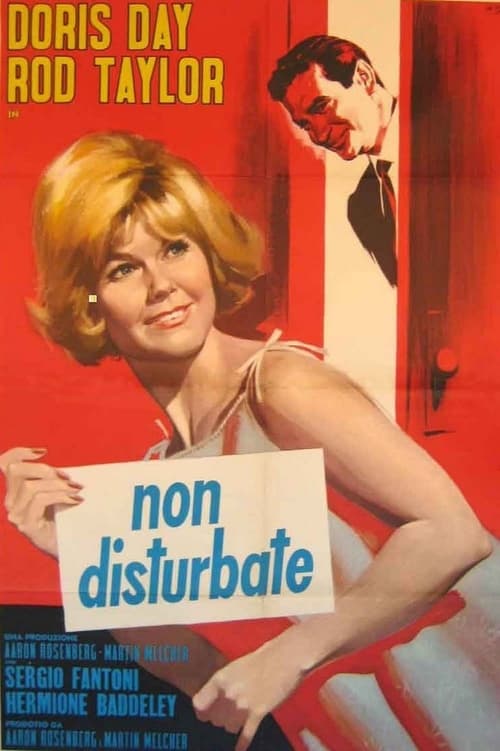 Non disturbate (1965)