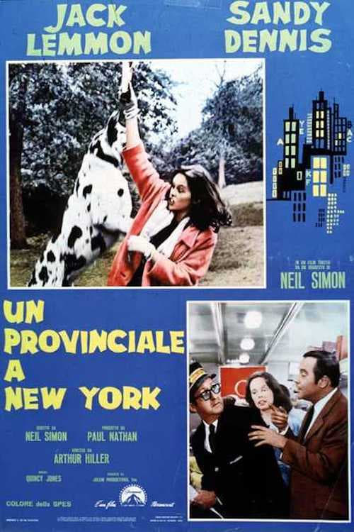 Un provinciale a New York (1970)